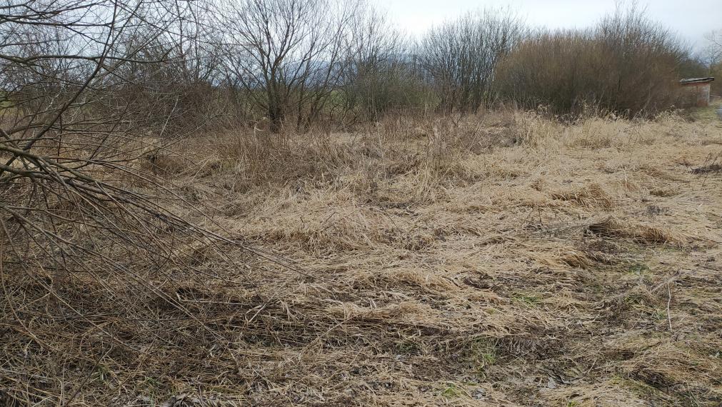 Predám pozemok - Nižná Šebastová