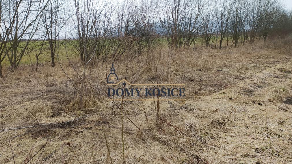 Predám pozemok - Nižná Šebastová