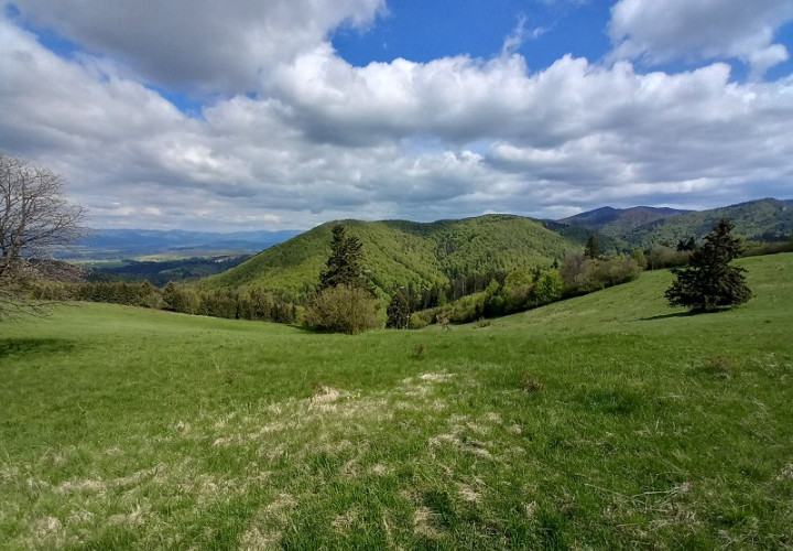 NA KÚPU hľadáme pre klienta chatu v obci ČREMOŠNÉ okres TURČIANSKE TEPLICE